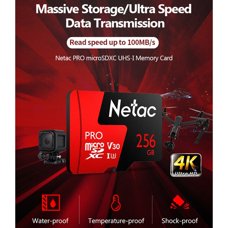 Sandsberg | Netac P500 PRO 256GB U3 Geschwindigkeitsstufe Automobile Datenrekorder Monitor Kamera Speicherkarte TF Karte