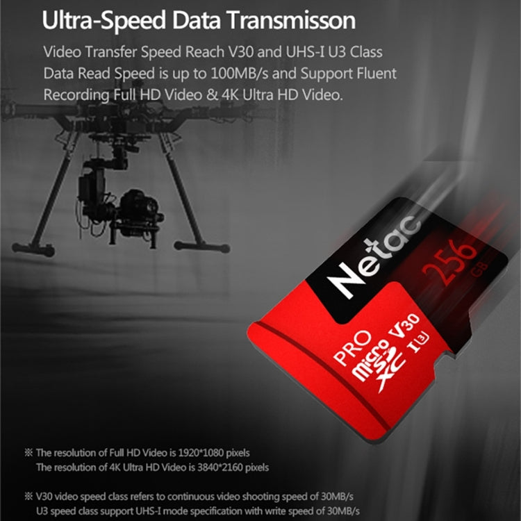 Sandsberg | Netac P500 PRO 256GB U3 Geschwindigkeitsstufe Automobile Datenrekorder Monitor Kamera Speicherkarte TF Karte