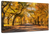 Sandsberg | Herbst im Central Park New York Wandkunst