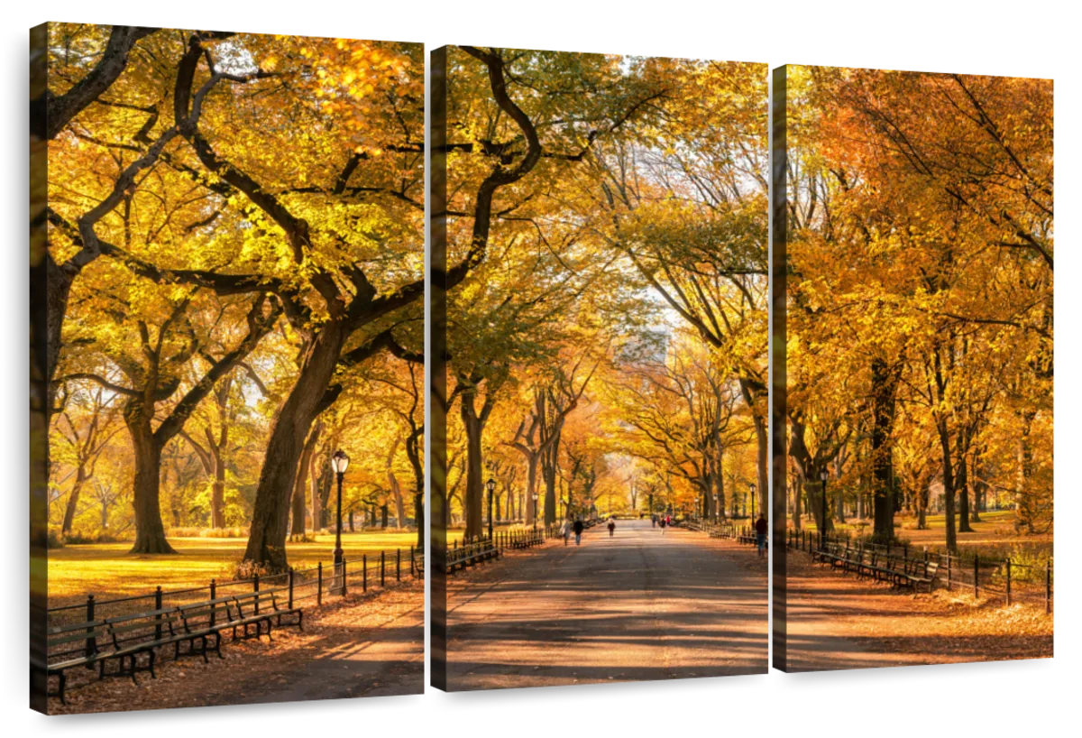 Sandsberg | Herbst im Central Park New York Wandkunst