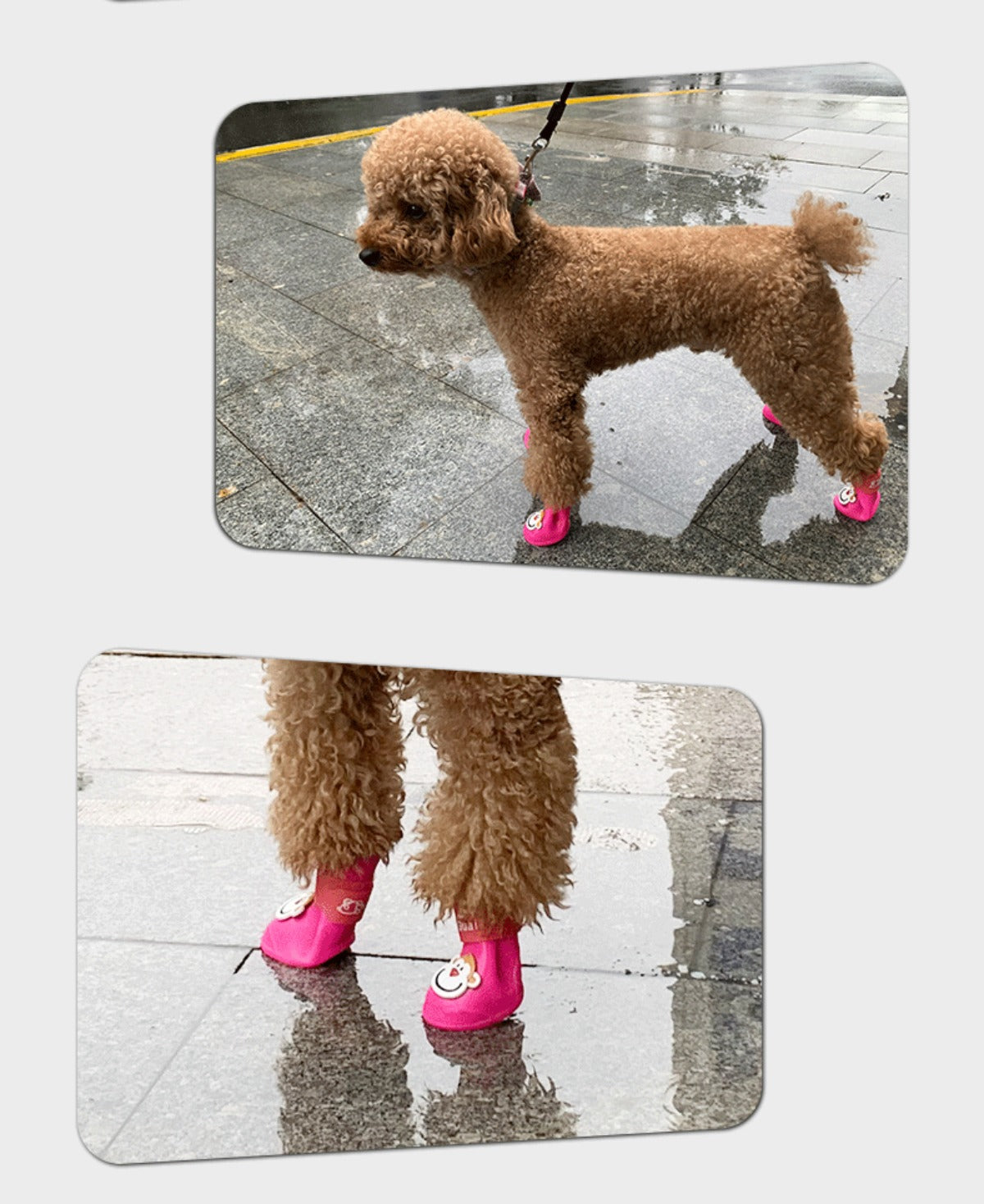 Sandsberg | Hundeschuhe Haustier Regenschuhe mit weichen Sohlen