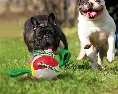 Sandsberg | Frisbee Outdoor Training Interaktive Frisbee Fußball Hundespielzeug