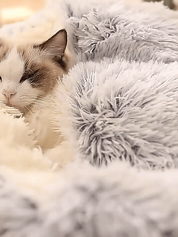 Sandsberg | Gemütliche Höhle Haustierbett | Beruhigendes & Komfortables Hundebett für Tiefe Entspannung