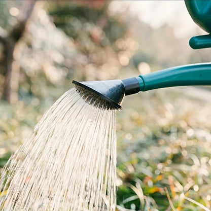 Sandsberg | Gießkanne mit großem Fassungsvermögen und langem Auslauf für präzises Gießen und Pflanzenpflege