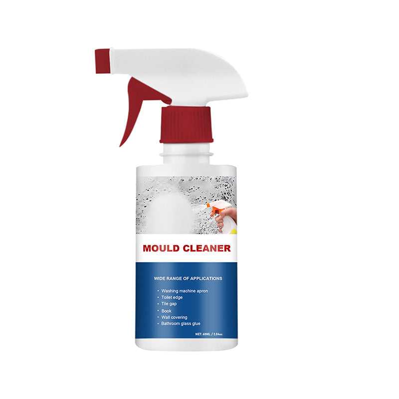Foam | Effektiver Anti-Schimmel Reinigungsschaum