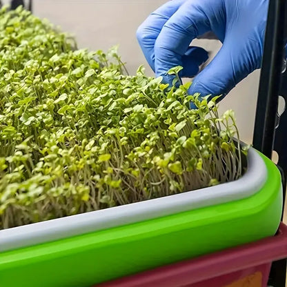 Sandsberg | Keimschalen mit Deckel – Doppelschichtiger Saatguttausbringtray für effektive Samenkeimung