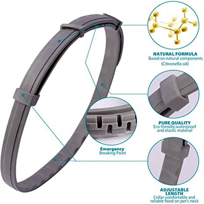 Sandsberg | Anti-Floh Haustierhalsband