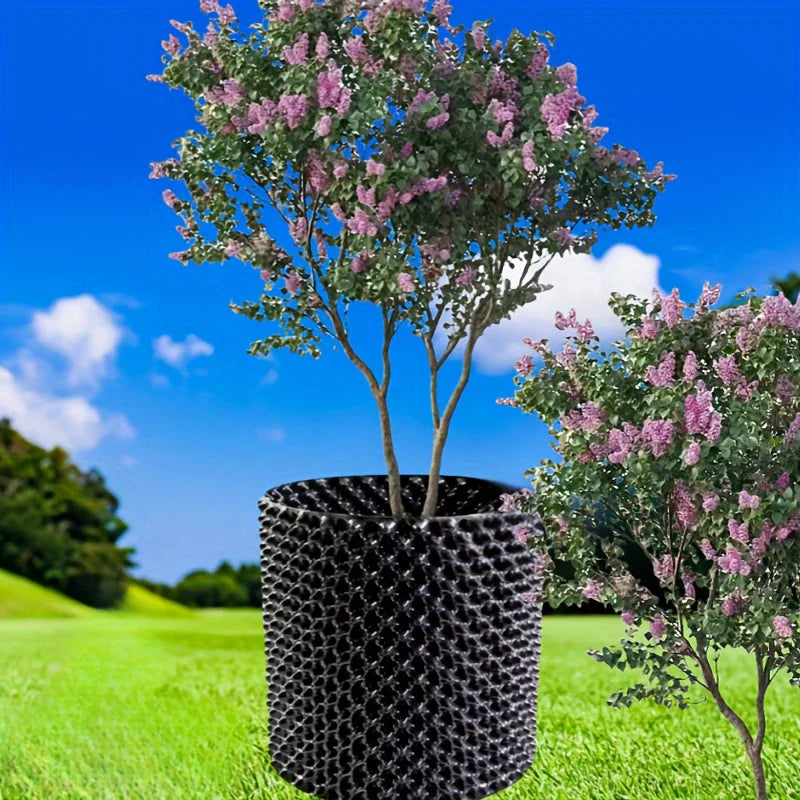 Sandsberg | Wurzelkontrollgerät für Pflanzen und Landschaftsgestaltung zur Förderung des gesunden Wachstums