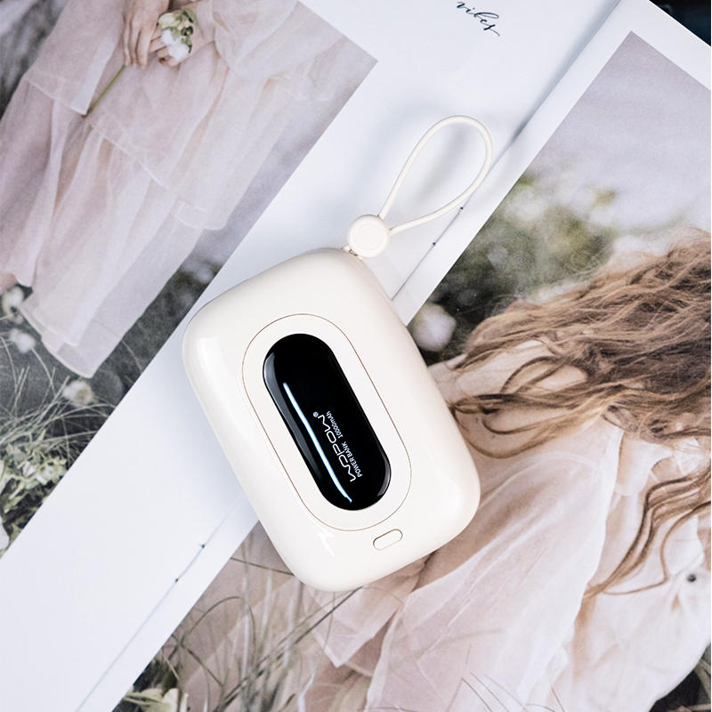 Sandsberg | 10000mAh Eingebaute Dual-Kabel Powerbank