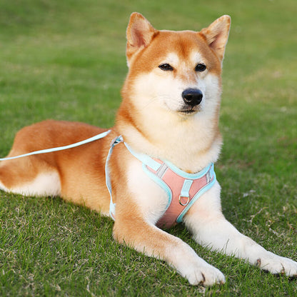 Sandsberg | Reflective Puppy Harness - BrightPaw