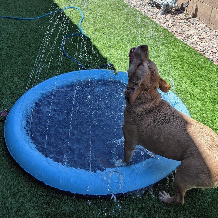 SplashPaws™ | Haustier-Sprinklerkissen