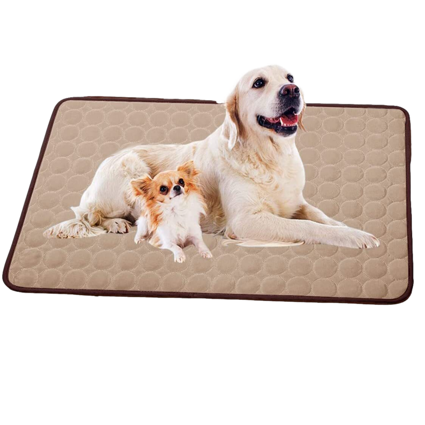 ChillPet - Sommererfrischung und Komfort für Ihren Vierbeiner!