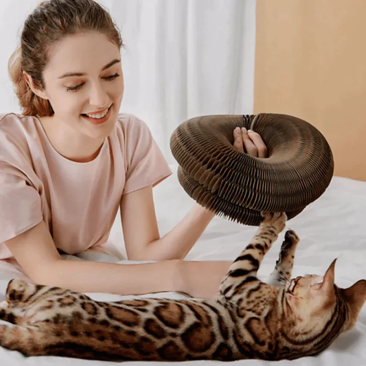 Katzenspielzeug