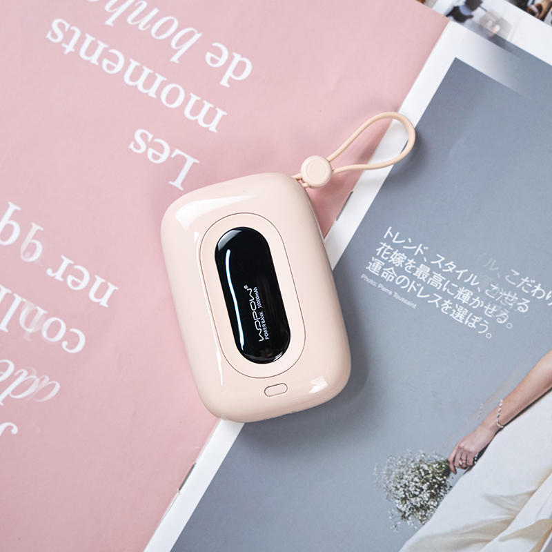 Sandsberg | 10000mAh Eingebaute Dual-Kabel Powerbank