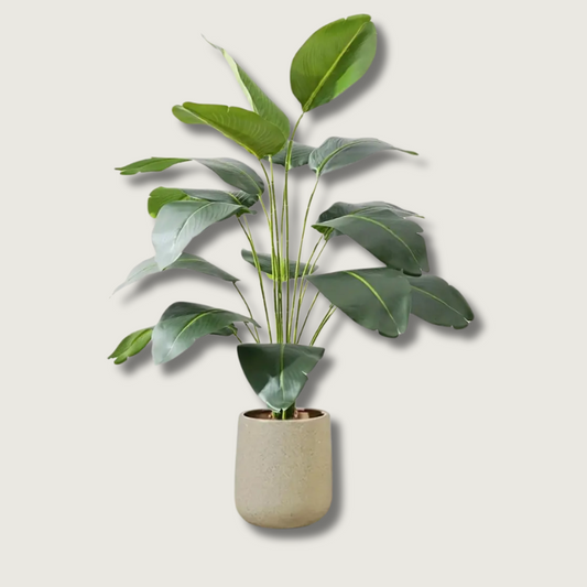 Sandsberg | LeafVibe - Bananenbaum Dekoration