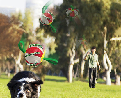 Sandsberg | Frisbee Outdoor Training Interaktive Frisbee Fußball Hundespielzeug