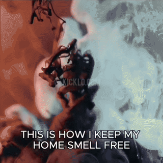 Sandsberg | Multifunktionaler Luftreiniger