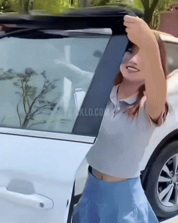 Sandsberg | Auto-Scheiben UV-Sonnenschutzvorhänge