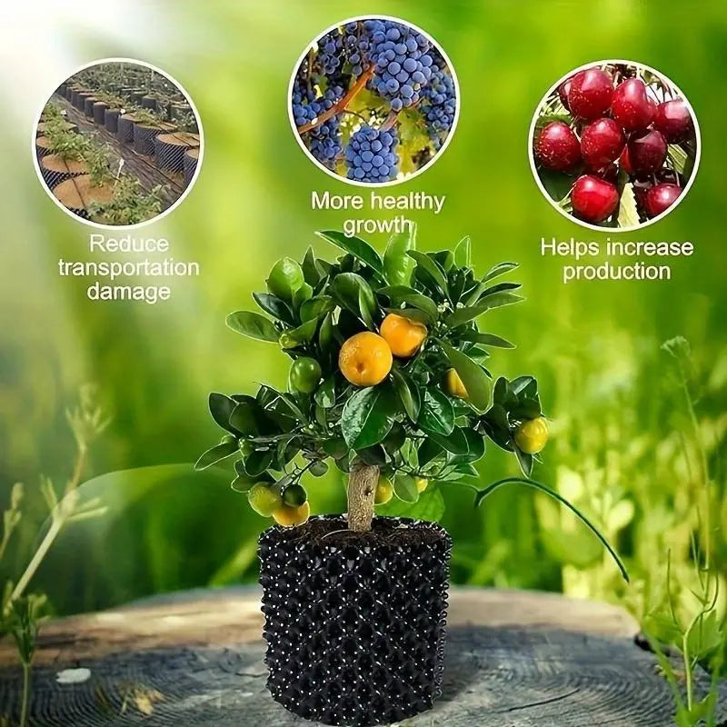 Sandsberg | Wurzelkontrollgerät für Pflanzen und Landschaftsgestaltung zur Förderung des gesunden Wachstums