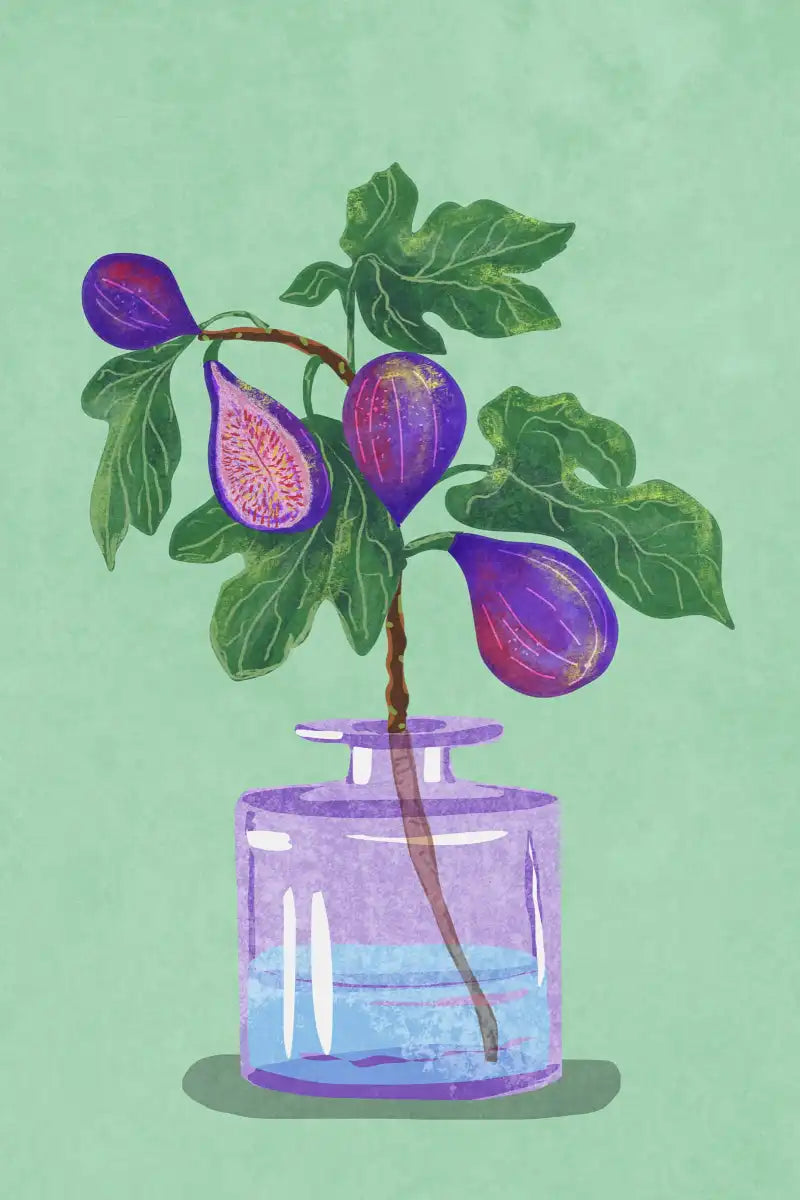 Sandsberg | Figs Branch In Vase Wandkunst