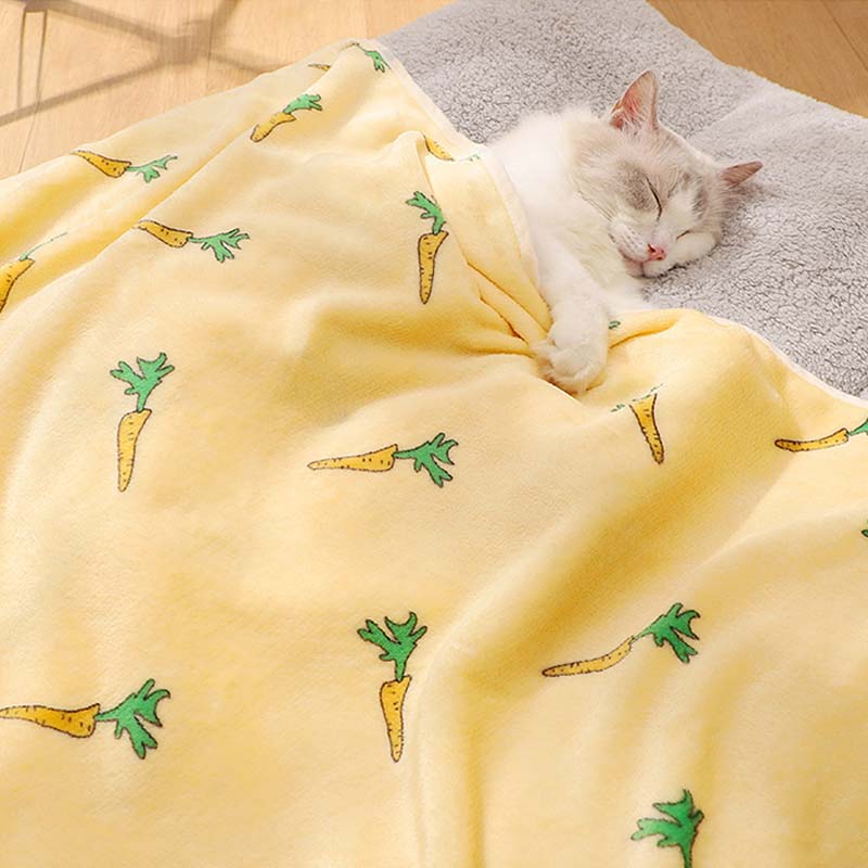 Super weiches Haustierdecke Katze Knetdecke