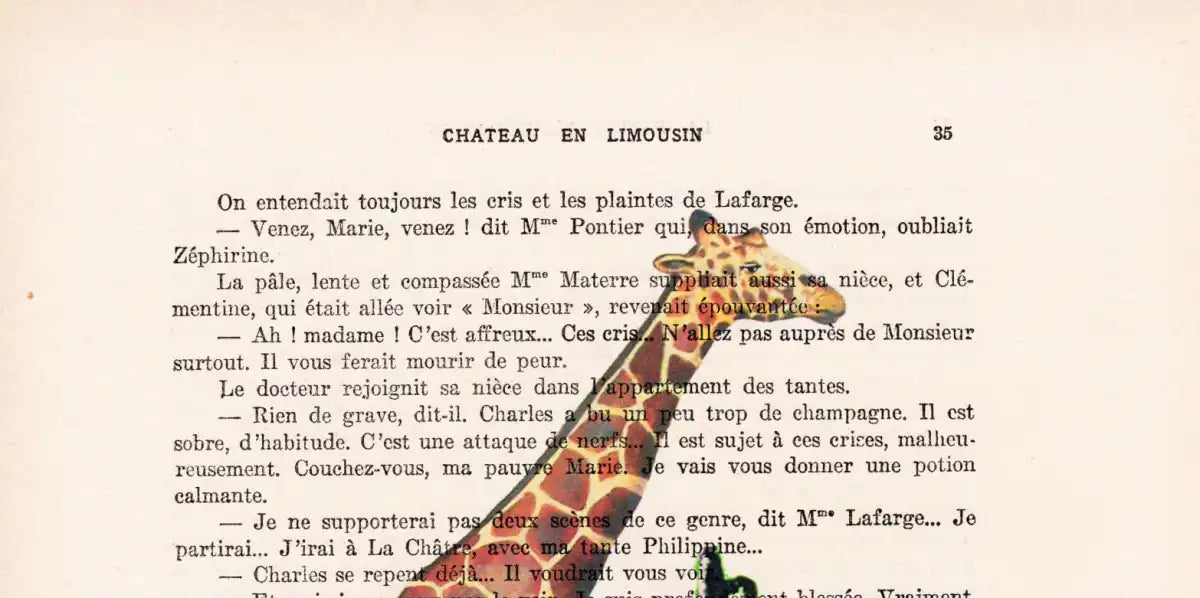 Sandsberg | Giraffe Auf Motorrad Wandkunst