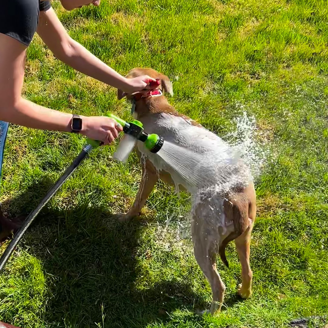 Sandsberg | Hundefutter Duschspray - WashBuddy