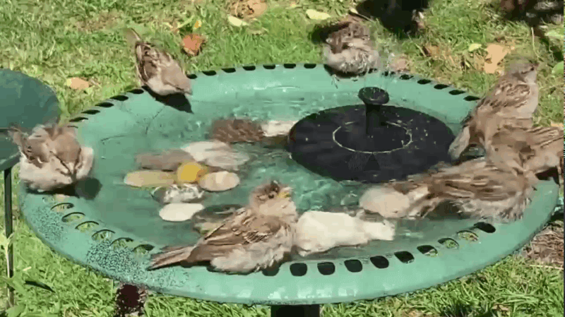 Sandsberg | Beruhigender Gartenbrunnen mit Sonnenlicht