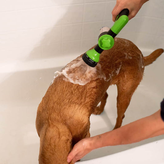 Sandsberg | Hundefutter Duschspray - WashBuddy