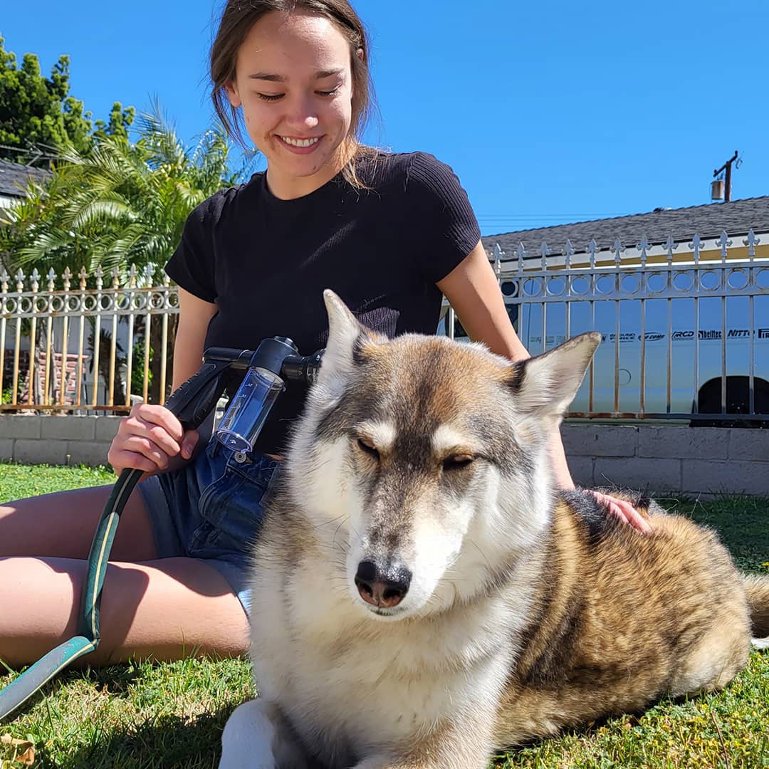 Sandsberg | Hundefutter Duschspray - WashBuddy