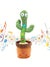 Cactus-Freund: Tanz und Chat