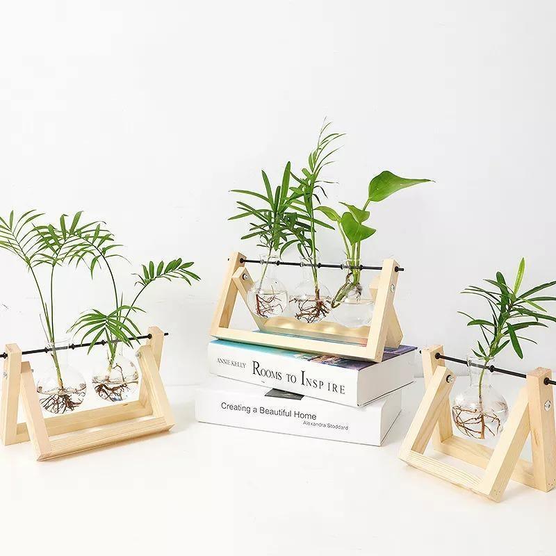 Sandsberg Glas Anzuchtvase mit Holzständer | Minimalistisches Design | Pflanzgefäß für Zuhause | Deko für Pflanzenliebhaber