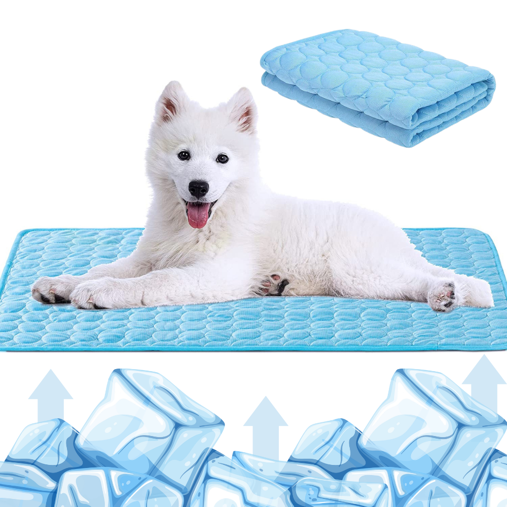 ChillPet - Sommererfrischung und Komfort für Ihren Vierbeiner!