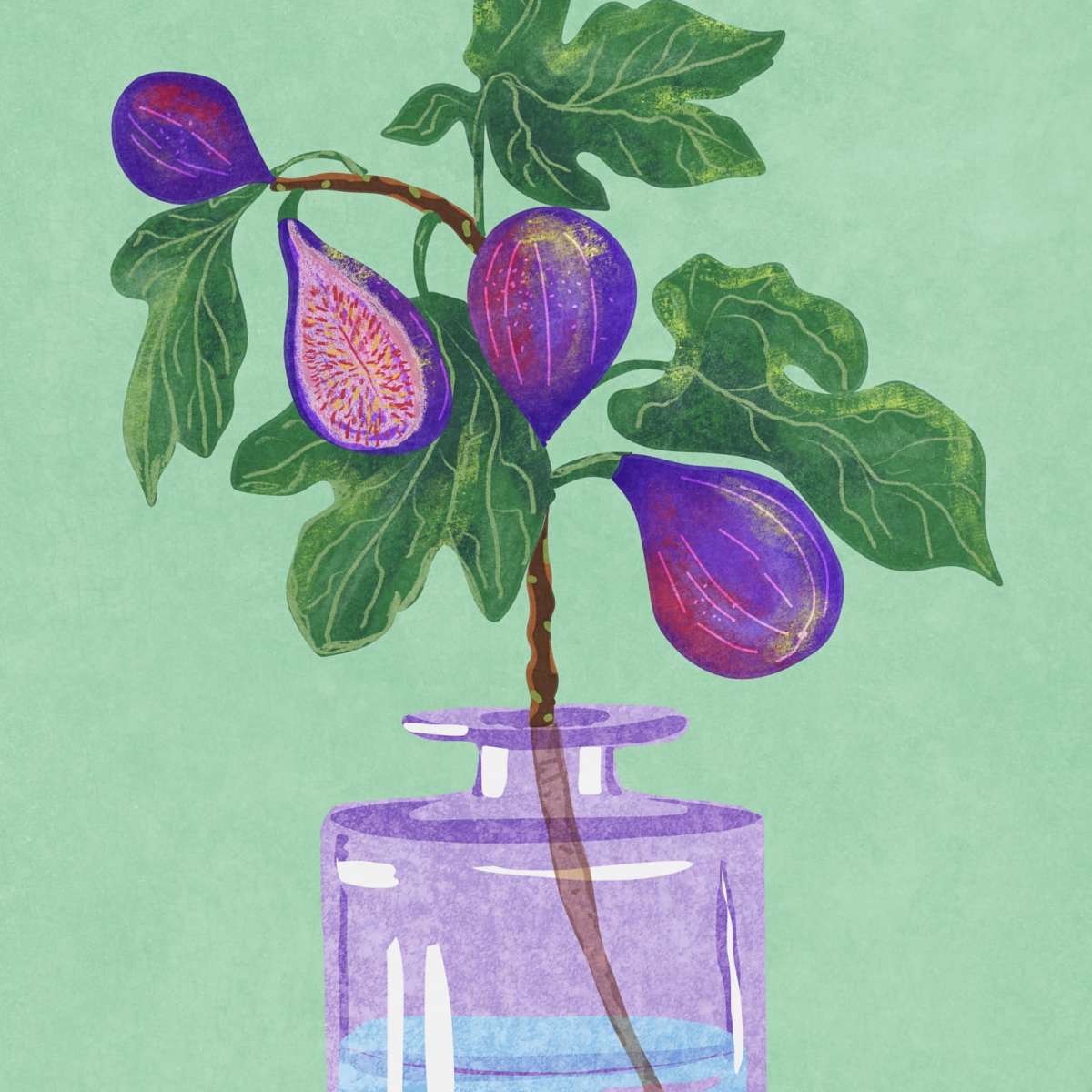 Sandsberg | Figs Branch In Vase Wandkunst