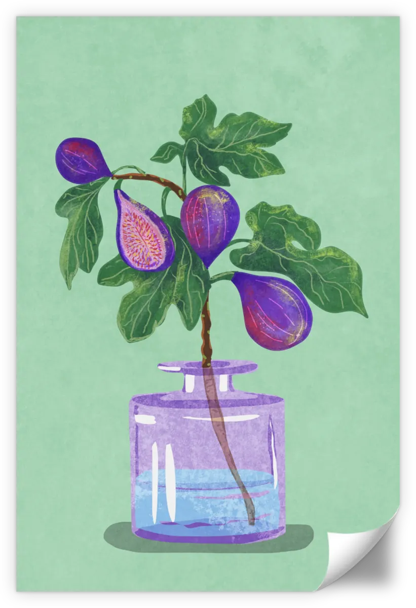 Sandsberg | Figs Branch In Vase Wandkunst