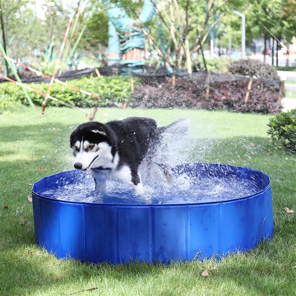 Zusammenklappbarer Haustierpool