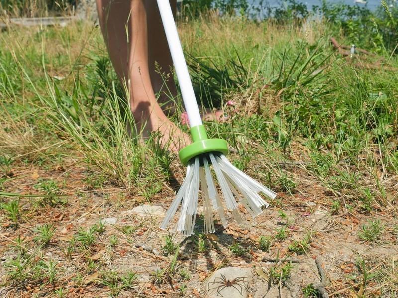 Sandsberg | Critter Catcher - Humane Insect Grabbing Stick