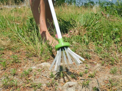 Sandsberg | Critter Catcher - Humane Insect Grabbing Stick