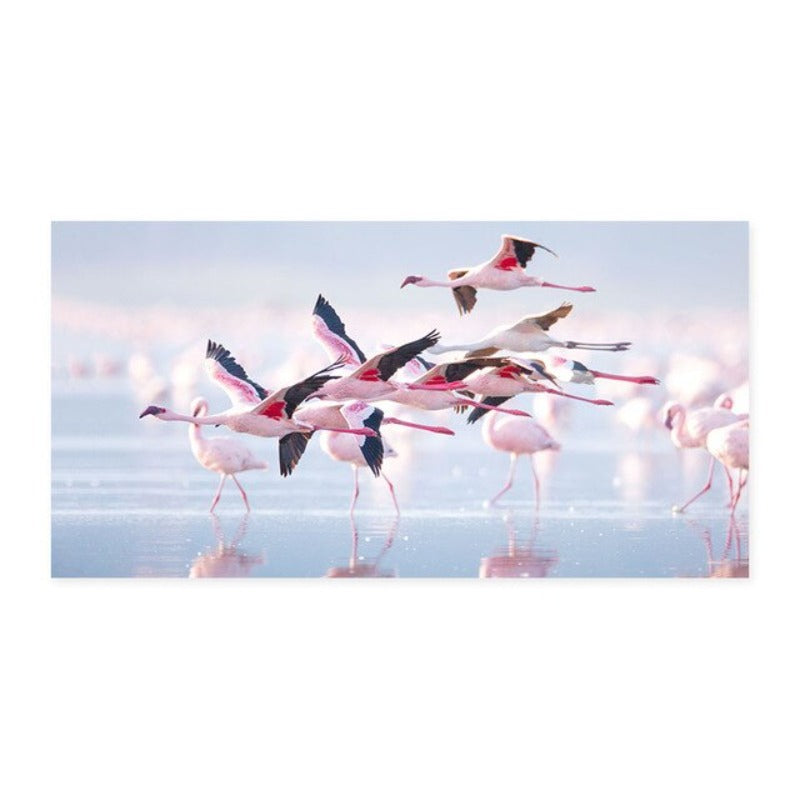 Schöner Flamingo im See - Leinwand Wandkunst Gemälde