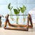Sandsberg Glas Anzuchtvase mit Holzständer | Minimalistisches Design | Pflanzgefäß für Zuhause | Deko für Pflanzenliebhaber