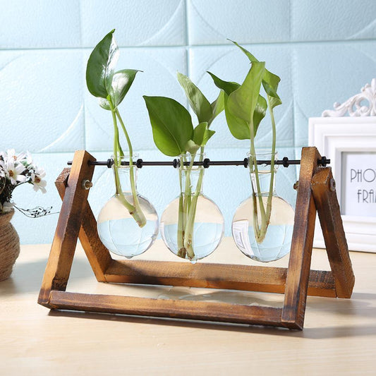 Sandsberg Glas Anzuchtvase mit Holzständer | Minimalistisches Design | Pflanzgefäß für Zuhause | Deko für Pflanzenliebhaber