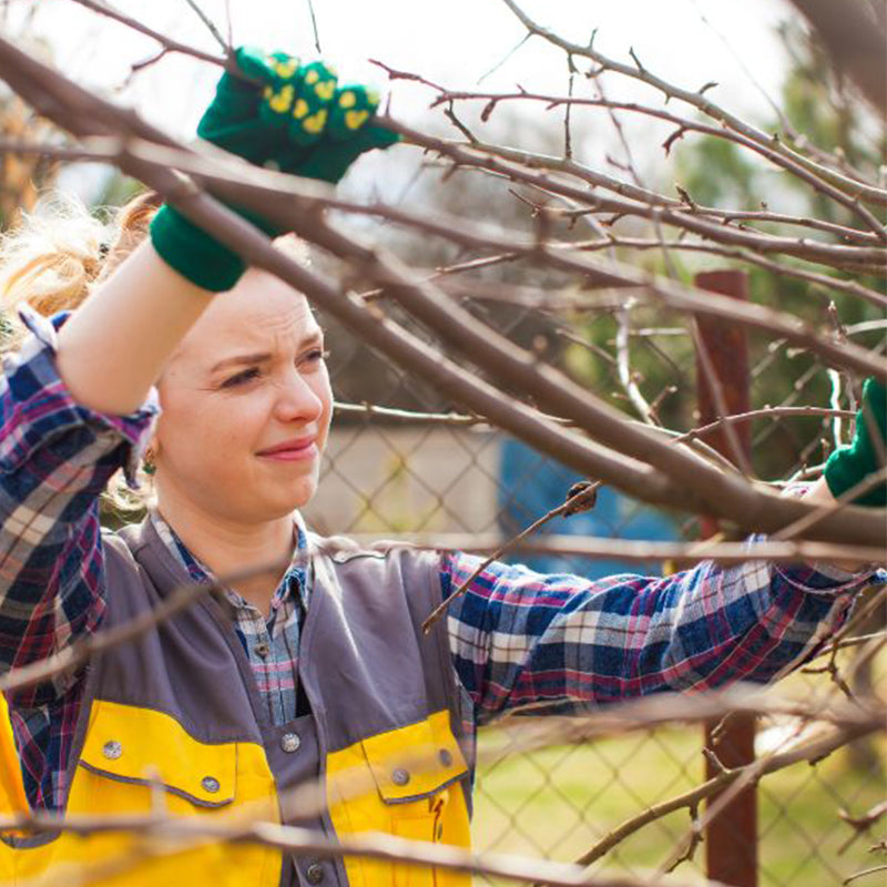 Elektrische Gartenschere für die Gartenarbeit