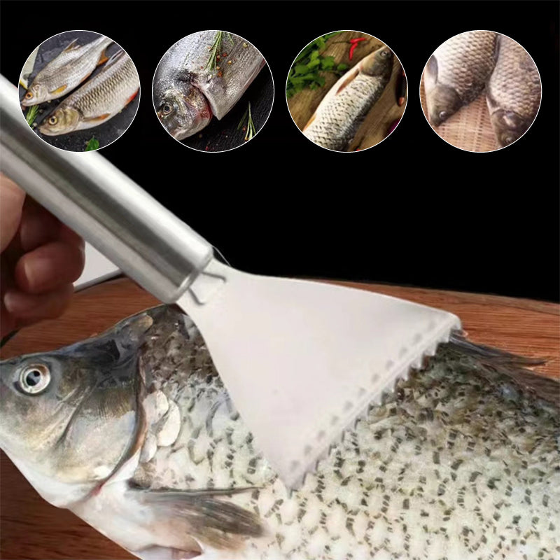 Edelstahl Entferner für Fischschuppen