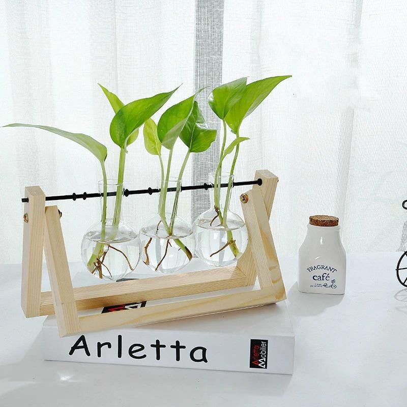 Sandsberg Glas Anzuchtvase mit Holzständer | Minimalistisches Design | Pflanzgefäß für Zuhause | Deko für Pflanzenliebhaber