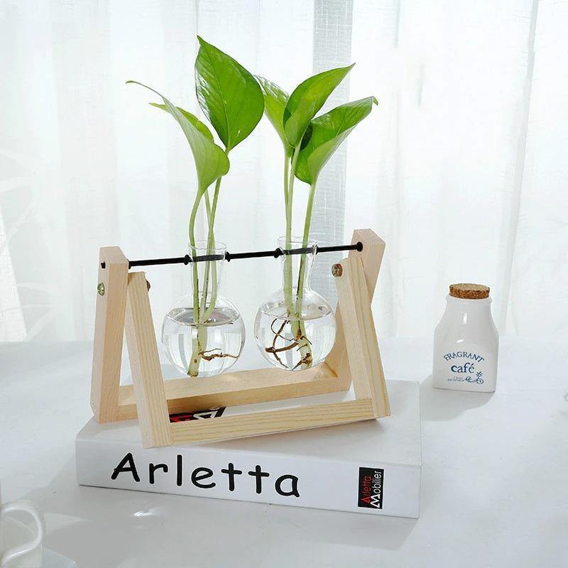 Sandsberg Glas Anzuchtvase mit Holzständer | Minimalistisches Design | Pflanzgefäß für Zuhause | Deko für Pflanzenliebhaber