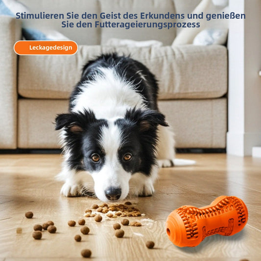 Sandsberg | Naturkautschuk Zahnreinigung Hundespielzeug