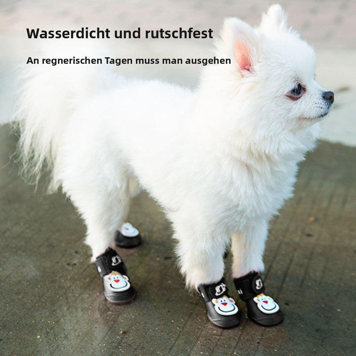 Sandsberg | Hundeschuhe Haustier Regenschuhe mit weichen Sohlen