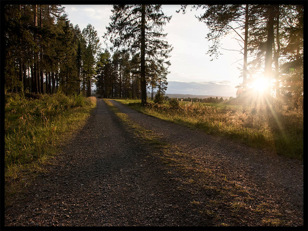 Weg nach vorn