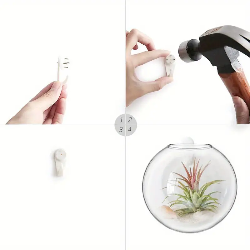 Sandsberg | Oblate Form Glas Wandpflanzen
