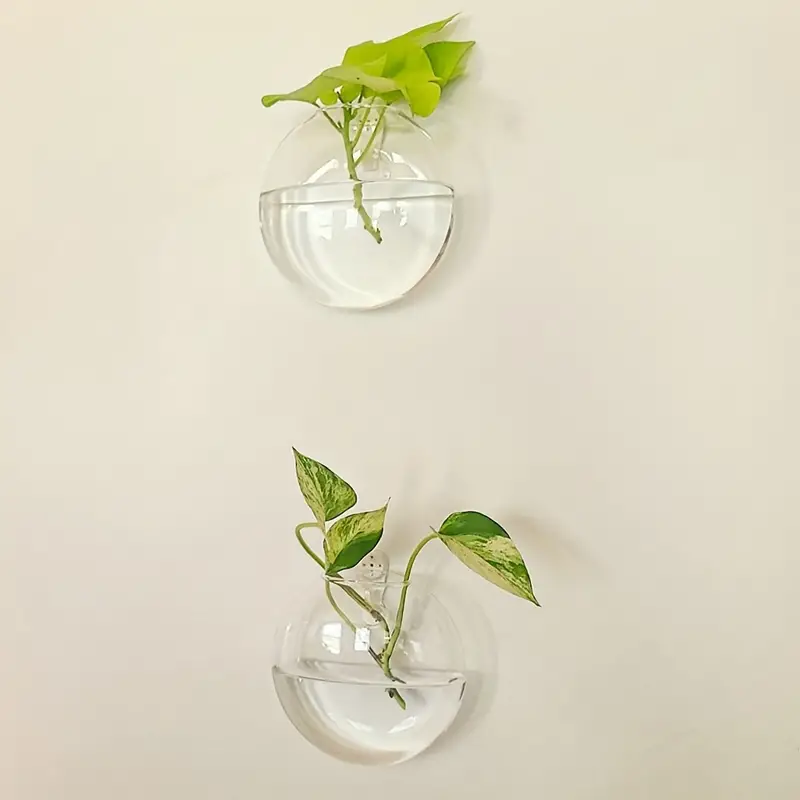 Sandsberg | Oblate Form Glas Wandpflanzen